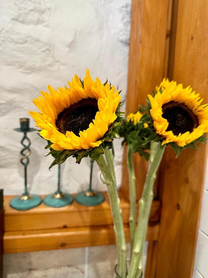 The Annex On Our Farm Apartment Colwyn Bay
